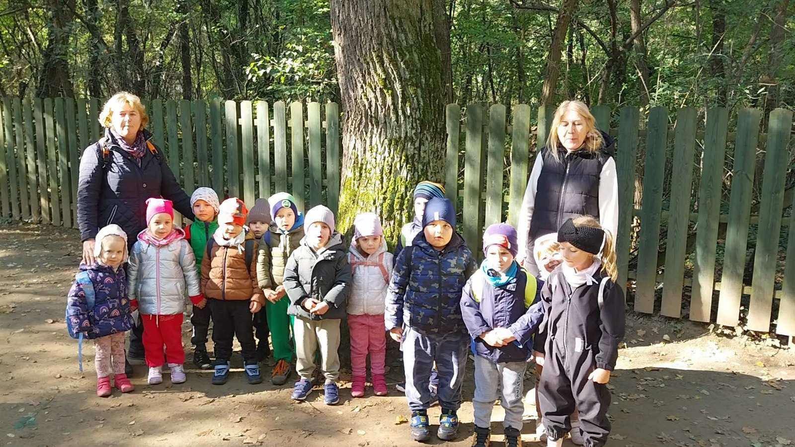 Az erdőben járt a Méhecske csoport 2024. 10. 18.